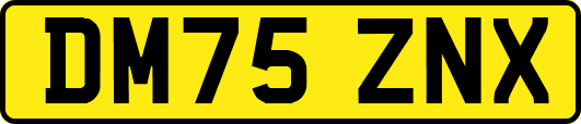 DM75ZNX