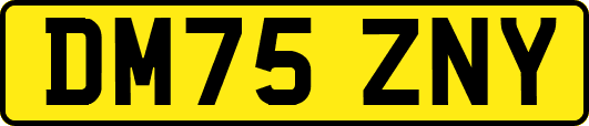 DM75ZNY