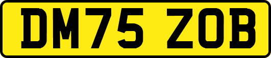 DM75ZOB
