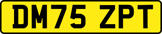 DM75ZPT