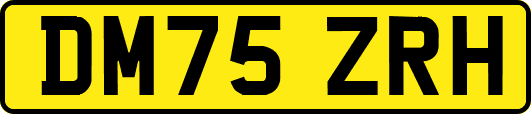 DM75ZRH