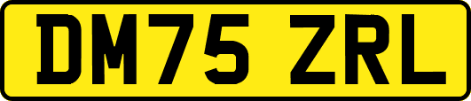 DM75ZRL