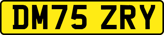 DM75ZRY
