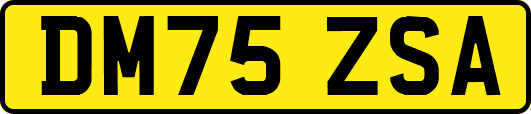 DM75ZSA