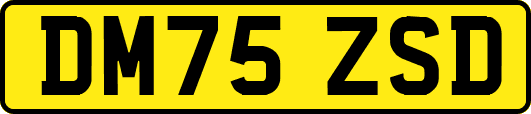 DM75ZSD