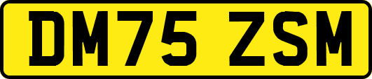 DM75ZSM
