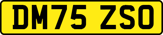 DM75ZSO