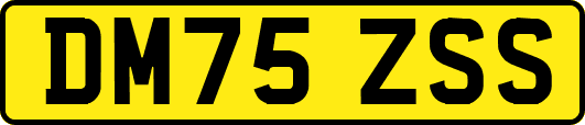 DM75ZSS