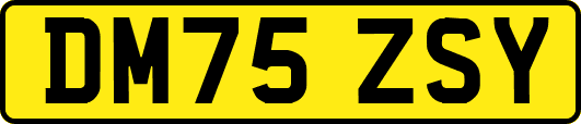 DM75ZSY