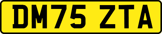 DM75ZTA