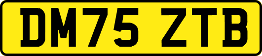 DM75ZTB