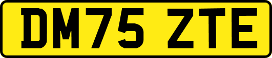 DM75ZTE
