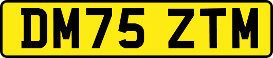 DM75ZTM