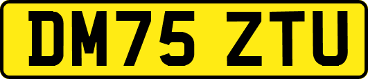 DM75ZTU