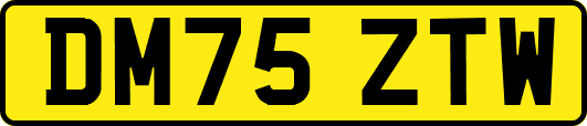 DM75ZTW