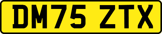 DM75ZTX