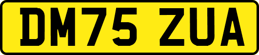 DM75ZUA