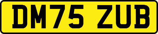 DM75ZUB