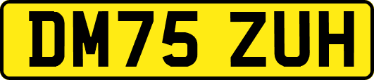 DM75ZUH