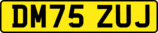 DM75ZUJ