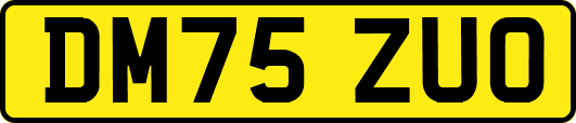 DM75ZUO