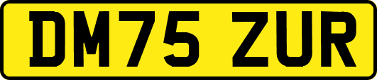 DM75ZUR