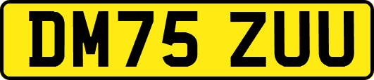 DM75ZUU