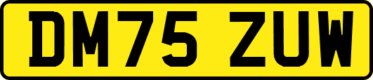DM75ZUW