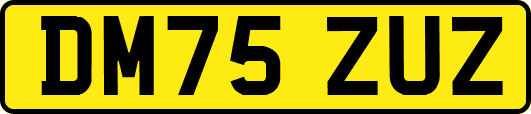 DM75ZUZ