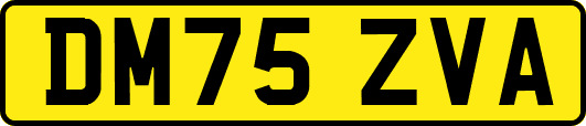 DM75ZVA