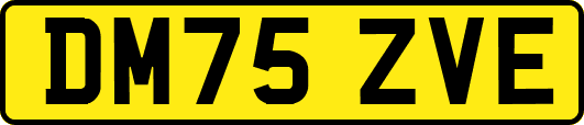 DM75ZVE