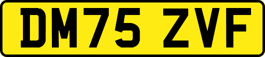 DM75ZVF