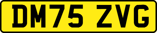 DM75ZVG