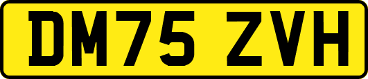 DM75ZVH