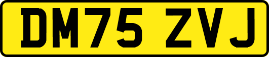 DM75ZVJ