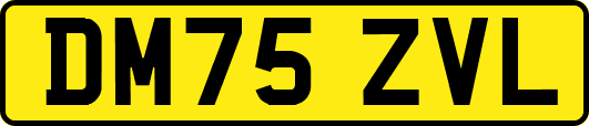 DM75ZVL