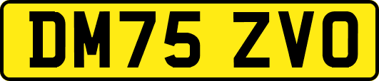 DM75ZVO