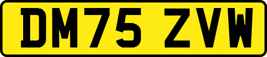 DM75ZVW