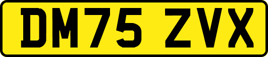 DM75ZVX
