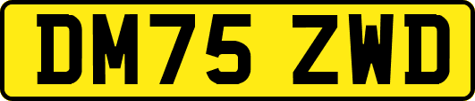 DM75ZWD
