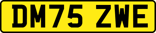 DM75ZWE