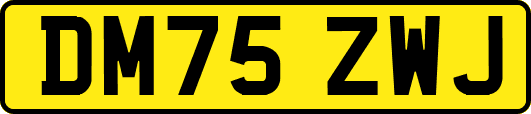 DM75ZWJ