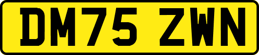 DM75ZWN
