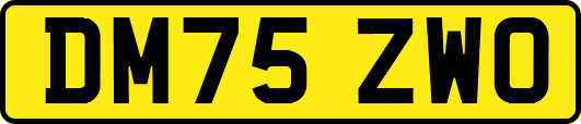 DM75ZWO