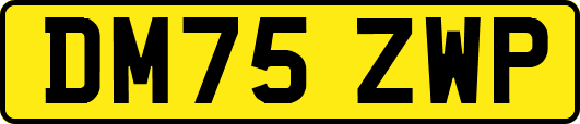 DM75ZWP