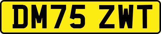 DM75ZWT