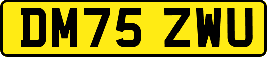 DM75ZWU