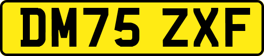 DM75ZXF