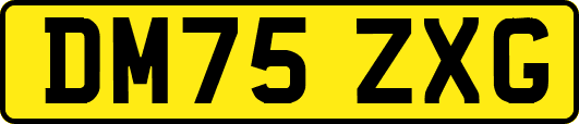 DM75ZXG
