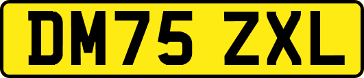DM75ZXL